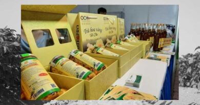 Vietnam: Craft fair promoting OCOP products to take place in November