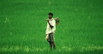 Focus on farm-sector to enrich the rural economy – Mr. Dushyant Chautala