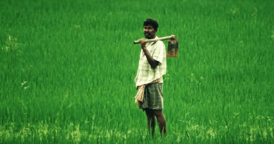 6 Major achievements of the Indian Government in the agriculture sector during 2022