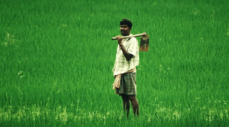 6 Major achievements of the Indian Government in the agriculture sector during 2022