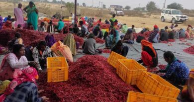FPO from Madhya Pradesh exports its first Red Chilli consignment to Europe