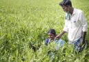Equipping researchers on farming systems design towards zero hunger, zero carbon