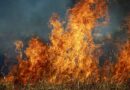 Measures by Central Government to manage Crop Residue and Stubble Burning