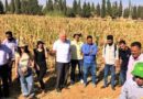 Agriculture water management training in syria