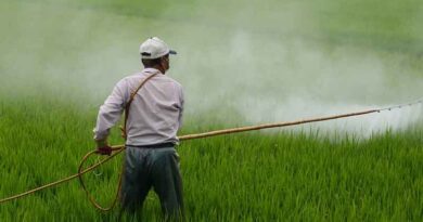 Use of Glyphosate not banned in India: India's Agriculture Minister