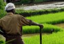 Average monthly income of agricultural households in India; Meghalaya leads