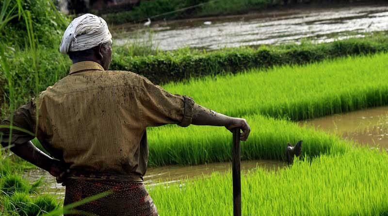 Average monthly income of agricultural households in India; Meghalaya leads
