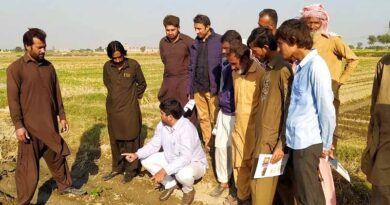 ‘Sowing the seeds’ of better potato production in the Punjab