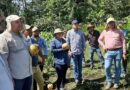 Building capacities in genetic resources and seed production strengthens collaboration ties between Guatemala and CIMMYT