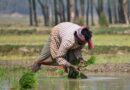 How is the Indian Government preparing for adverse effects of climate change on agriculture