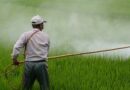 Indian Government mandates registration of Technical Grade Pesticides