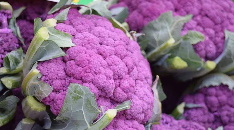 Yellow and purple cauliflower showcased at the Indo-Israel Center of Excellence for Vegetables