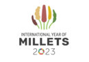 Millets Mahotsav: A mega-food event to be organized by the Agriculture Ministry from 3rd to 5th Nov 2023 in New Delhi