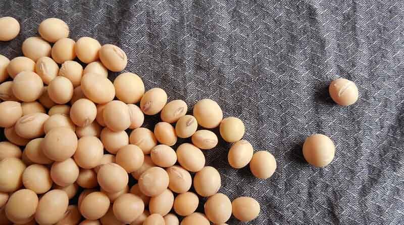 Which are the top 10 soybean varieties grown in India?
