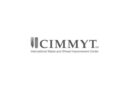 Tracking the development and reach of CIMMYT’s climate research
