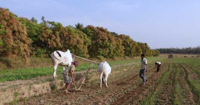 How can we improve farmers income in India?