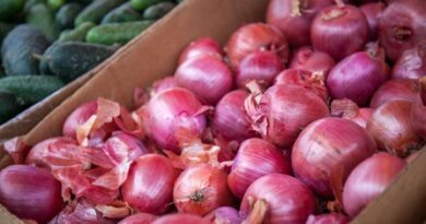 The continuing struggle for onion farmers in the Philippines