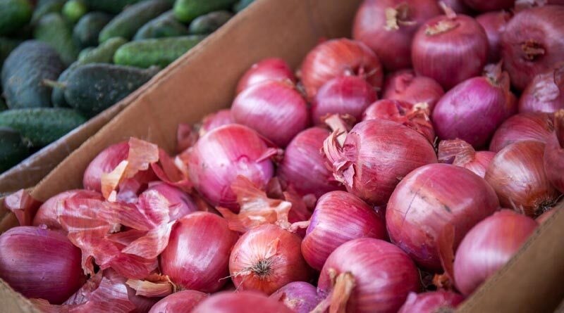 The continuing struggle for onion farmers in the Philippines