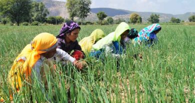 Integrated agriculture development is the key to food security