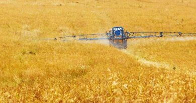 Punjab government to provide subsidy on purchase of agricultural machinery