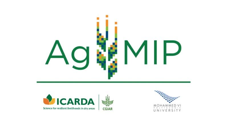 Agmip mena launch: the agricultural model intercomparison and improvement project mena regional platform