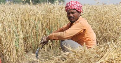 Foodgrain production of 3235 lakh tonnes estimated as per second advance estimates of 2022-23