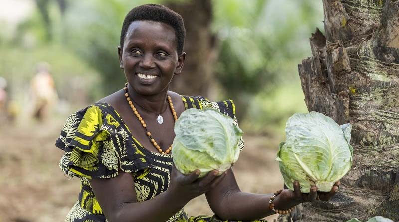 Importance of women and youth in African agriculture highlighted at 6th Africa Agri Expo 2023