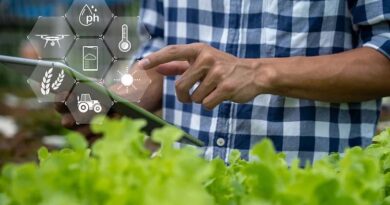 Automation: The New Sustainable Agricultural Revolution