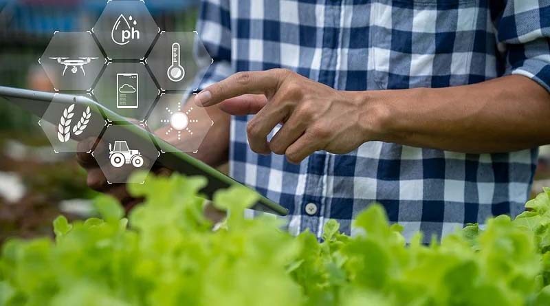 Automation: The New Sustainable Agricultural Revolution