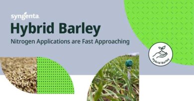 Hybrid barley nitrogen applications are fast approaching