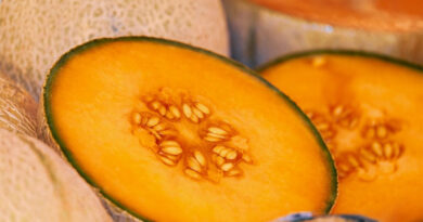 Charentais (Madhuras) Melon Variety Madhuraja by Nunhems