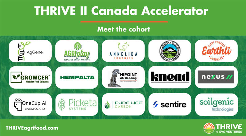 SVG Ventures | THRIVE Announces it’s 2023 Canada Accelerator Cohort