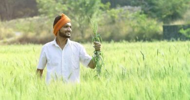 How is the Indian government promoting chemical free Natural Farming