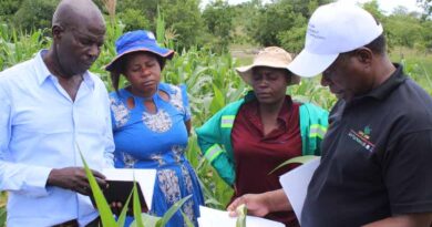 Farmers in Buhera gear up for climate-smart agriculture