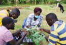 Aflatoxins, rabies and misuse of pesticides and animal health drugs are top ‘One Health’ issues at joint crop-livestock focused clinics in Uganda