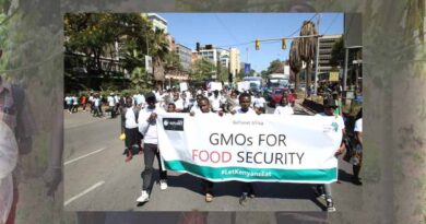 GMOs for food security: Kenyan university students express their support for GM crops