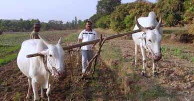 Everything you need to know about Indian government’s National Mission on Natural Farming