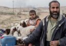 Iraq: Safety, credit and opportunities are all key for displaced farmers to return home