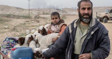 Iraq: Safety, credit and opportunities are all key for displaced farmers to return home