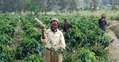 Working with Papua New Guinea to safeguard crop production