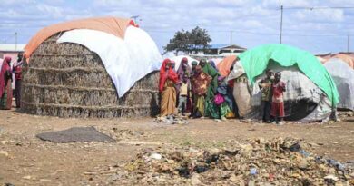 Somalia: lives and livelihoods of millions still at risk, FAO calls for an urgent scale-up in emergency humanitarian aid alongside resilience