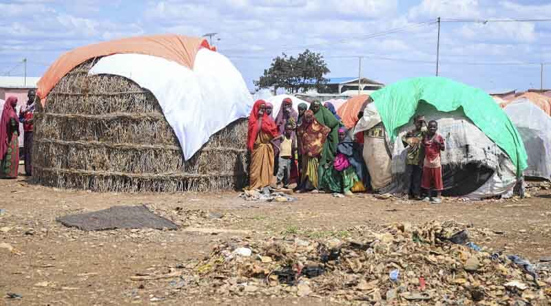 Somalia: lives and livelihoods of millions still at risk, FAO calls for an urgent scale-up in emergency humanitarian aid alongside resilience