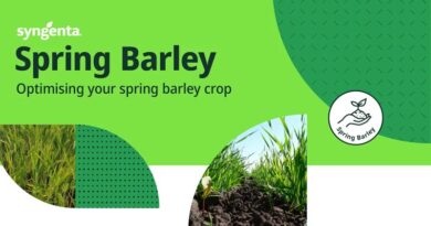 Establishing the optimum number of plants is key to achieving spring barley potential