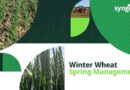 Protect yield with well timed early spring management
