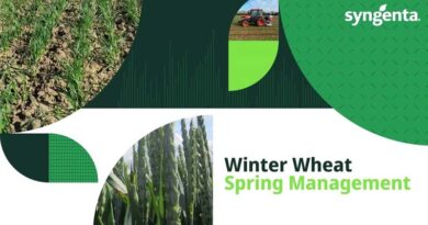 Protect yield with well timed early spring management
