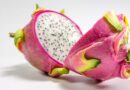 Kamalam (Dragon Fruit) cultivation area in India expected to expand to 50,000 hectares