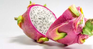 Kamalam (Dragon Fruit) cultivation area in India expected to expand to 50,000 hectares