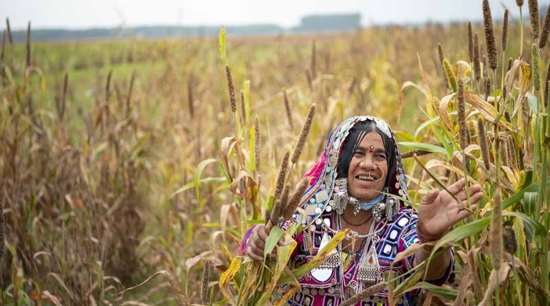 India: New plasma technology promises hope to millions of dryland farmers