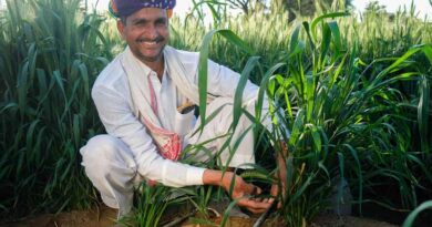 Ambuja Cement Foundation working with farmers to improve soil health and crop productivity