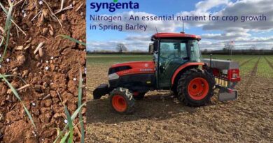 Importance of nitrogen in achieving spring barley malting specifications